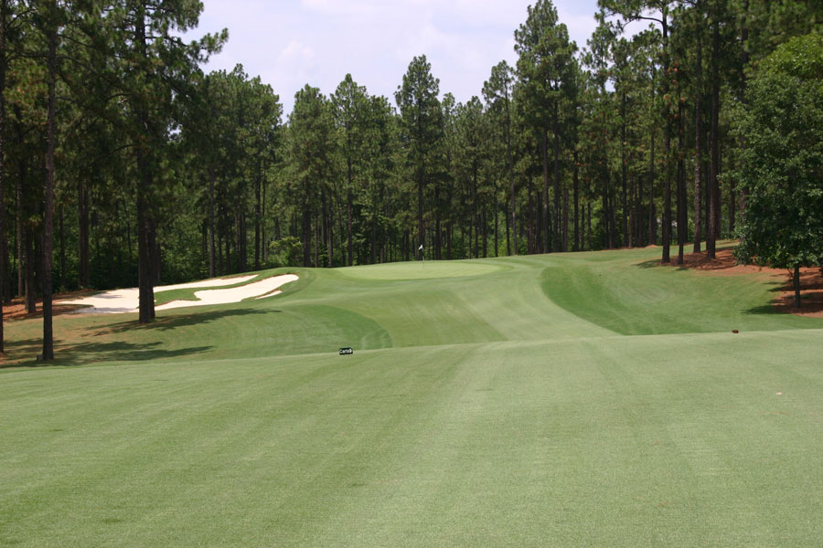 Forest Creek Golf Club South Course Golf